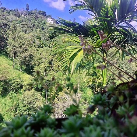 Creek Downhills Bed & Breakfast Ella Luaran gambar