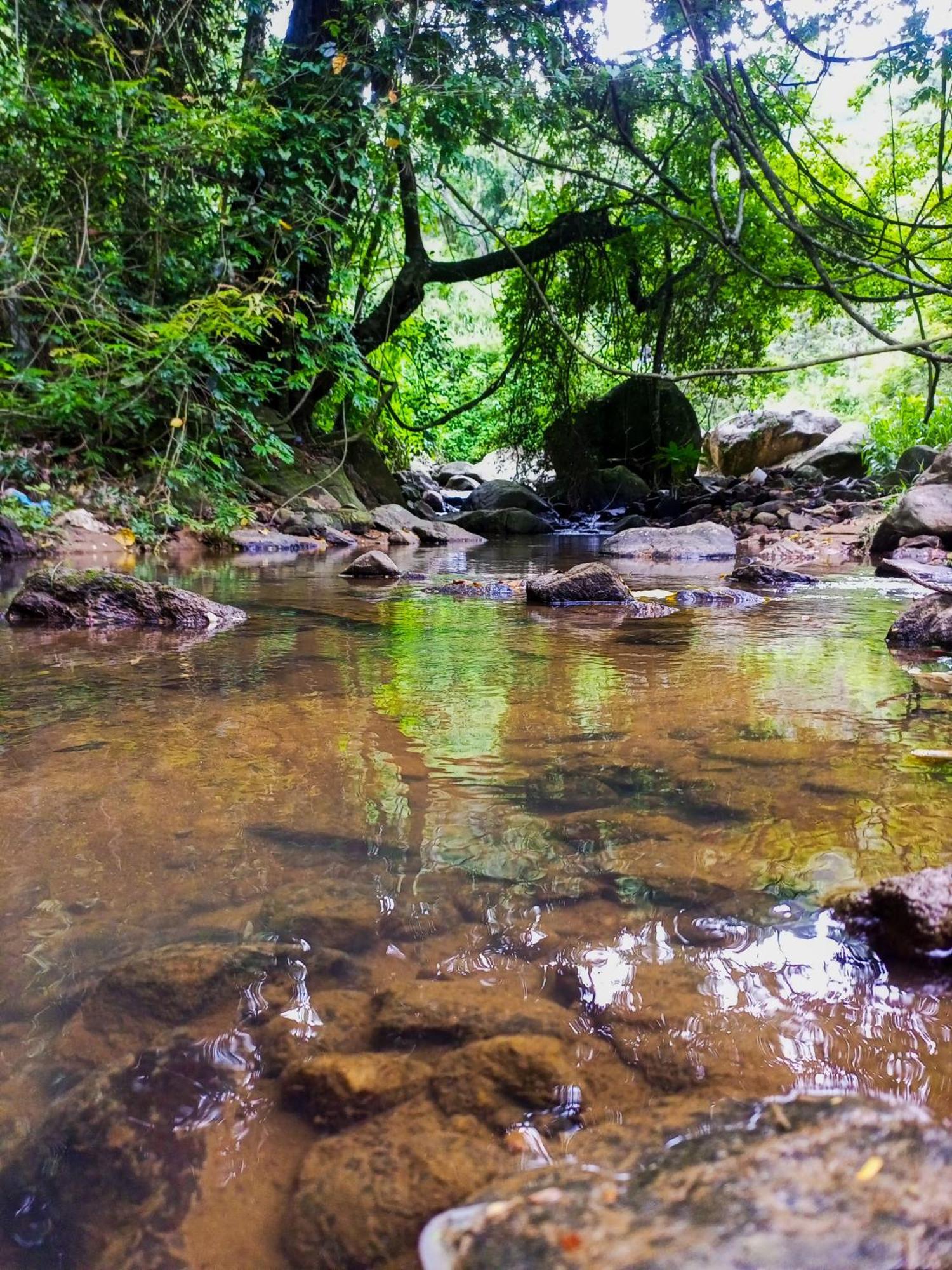 Creek Downhills Bed & Breakfast Ella Luaran gambar