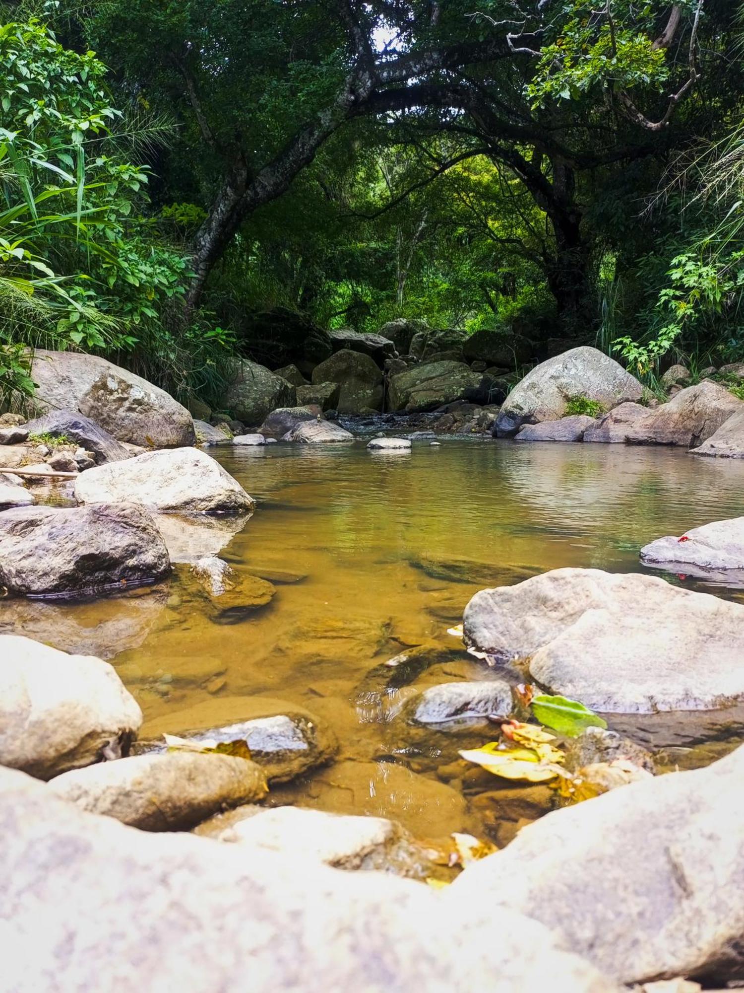 Creek Downhills Bed & Breakfast Ella Luaran gambar