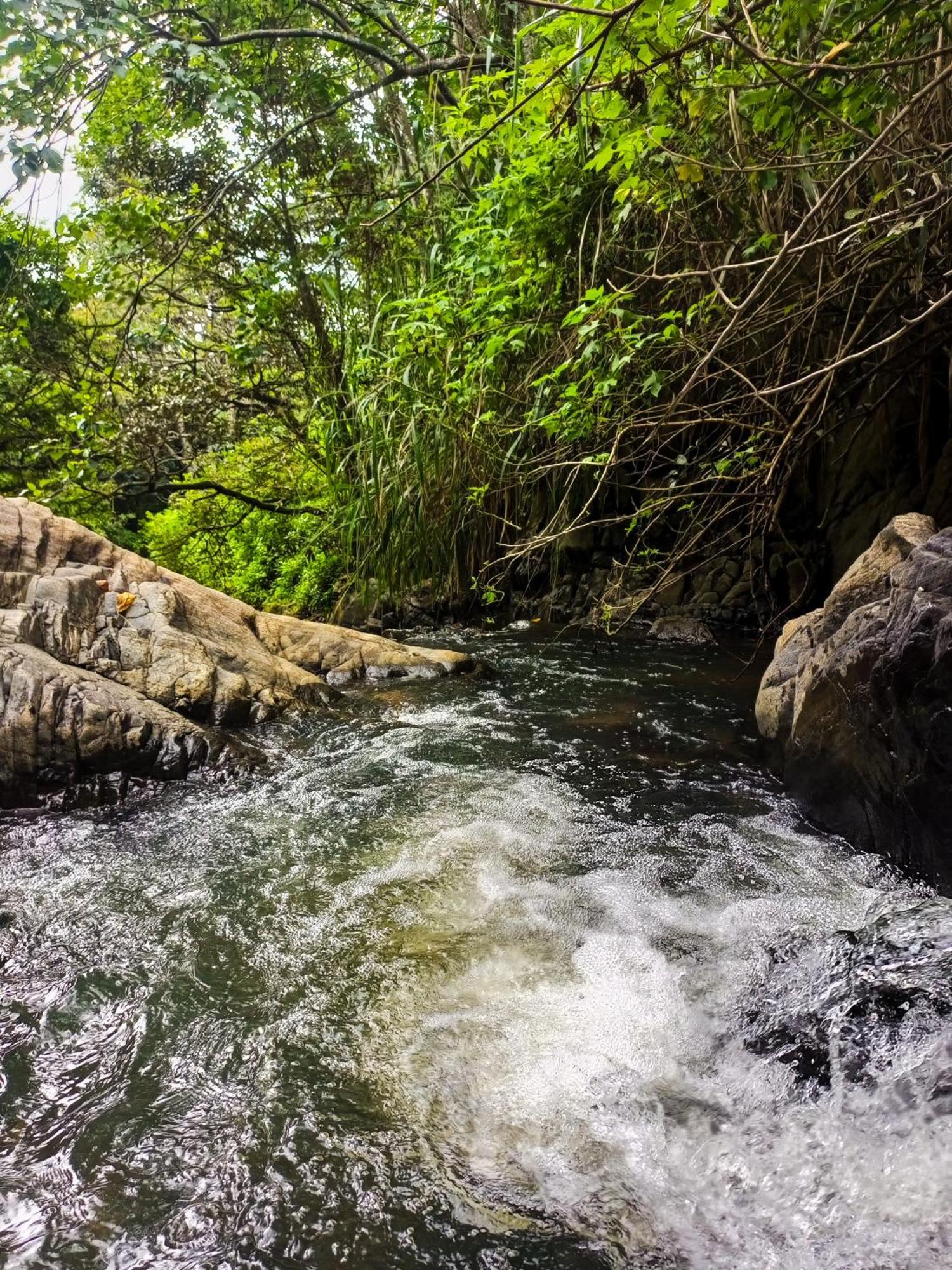 Creek Downhills Bed & Breakfast Ella Luaran gambar