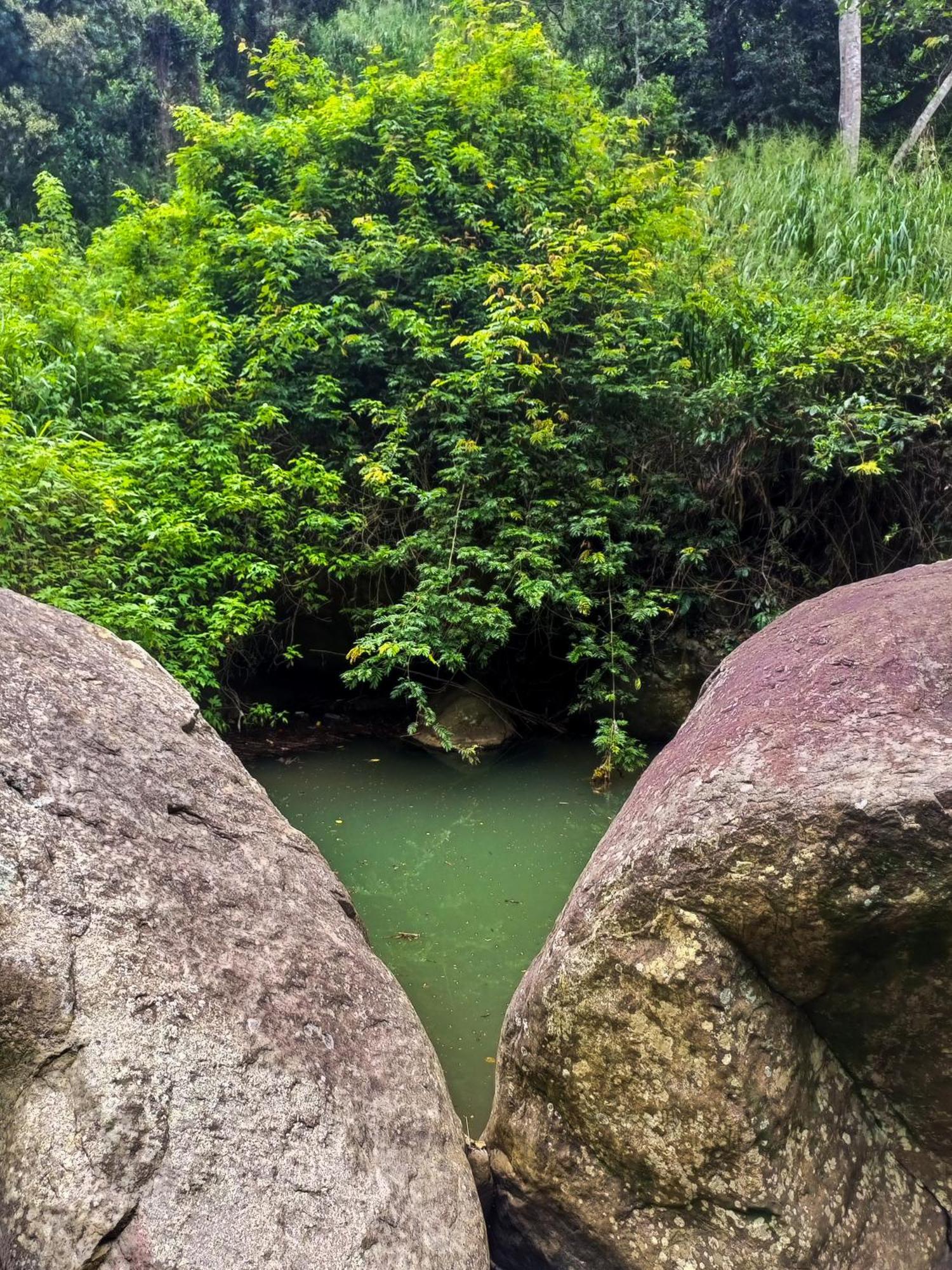Creek Downhills Bed & Breakfast Ella Luaran gambar