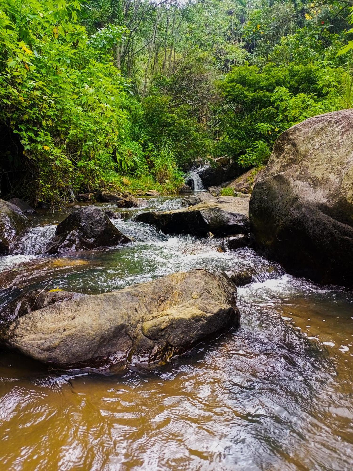 Creek Downhills Bed & Breakfast Ella Luaran gambar