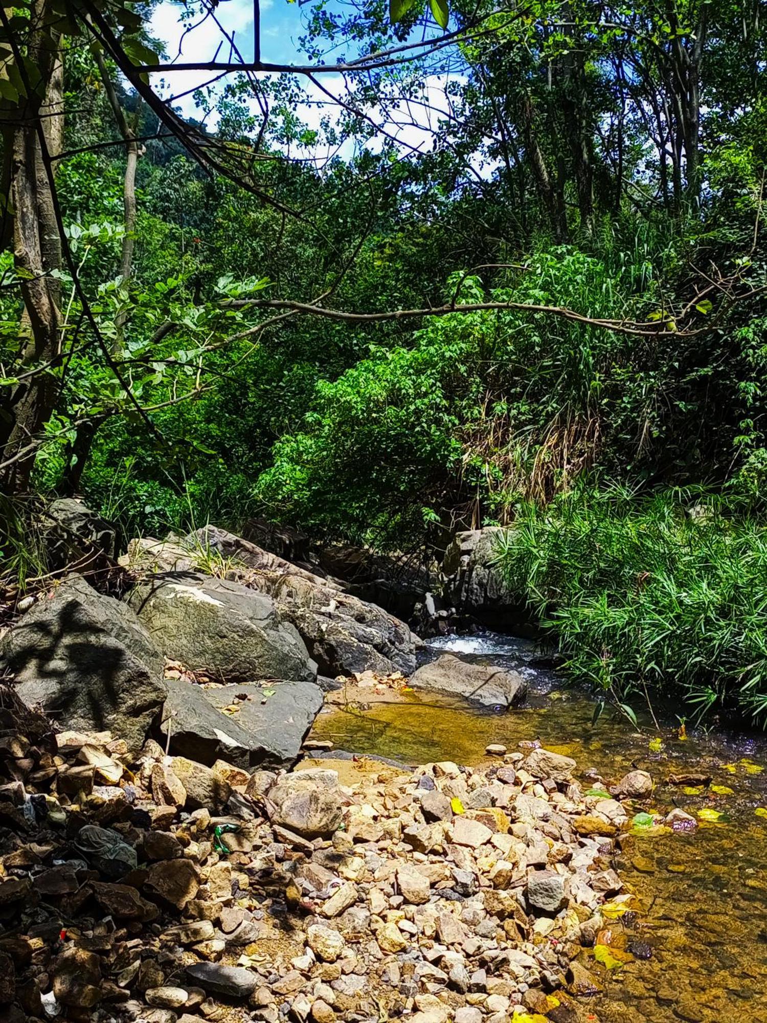 Creek Downhills Bed & Breakfast Ella Luaran gambar