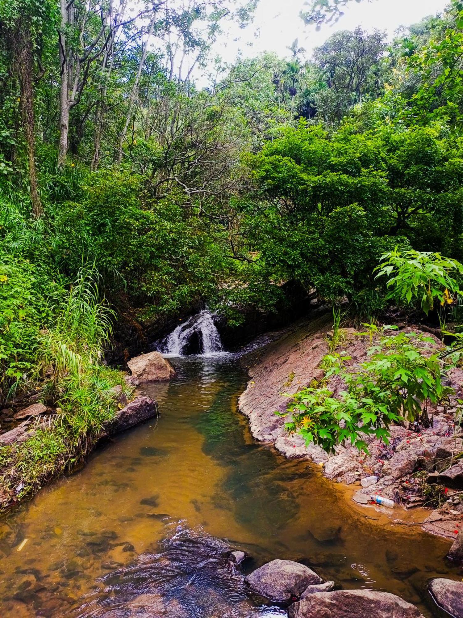 Creek Downhills Bed & Breakfast Ella Luaran gambar