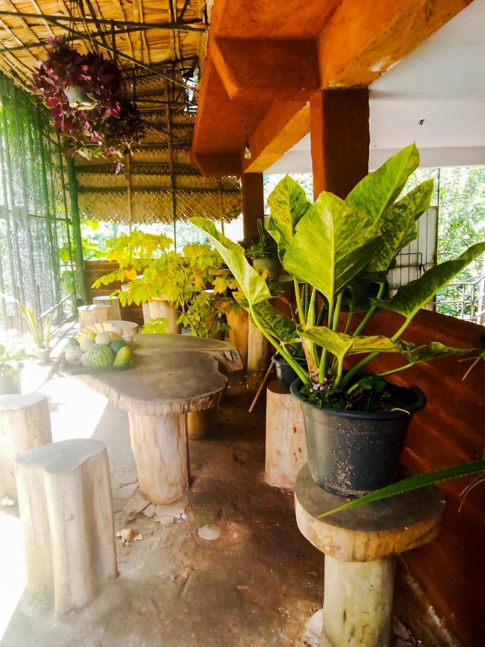 Creek Downhills Bed & Breakfast Ella Luaran gambar