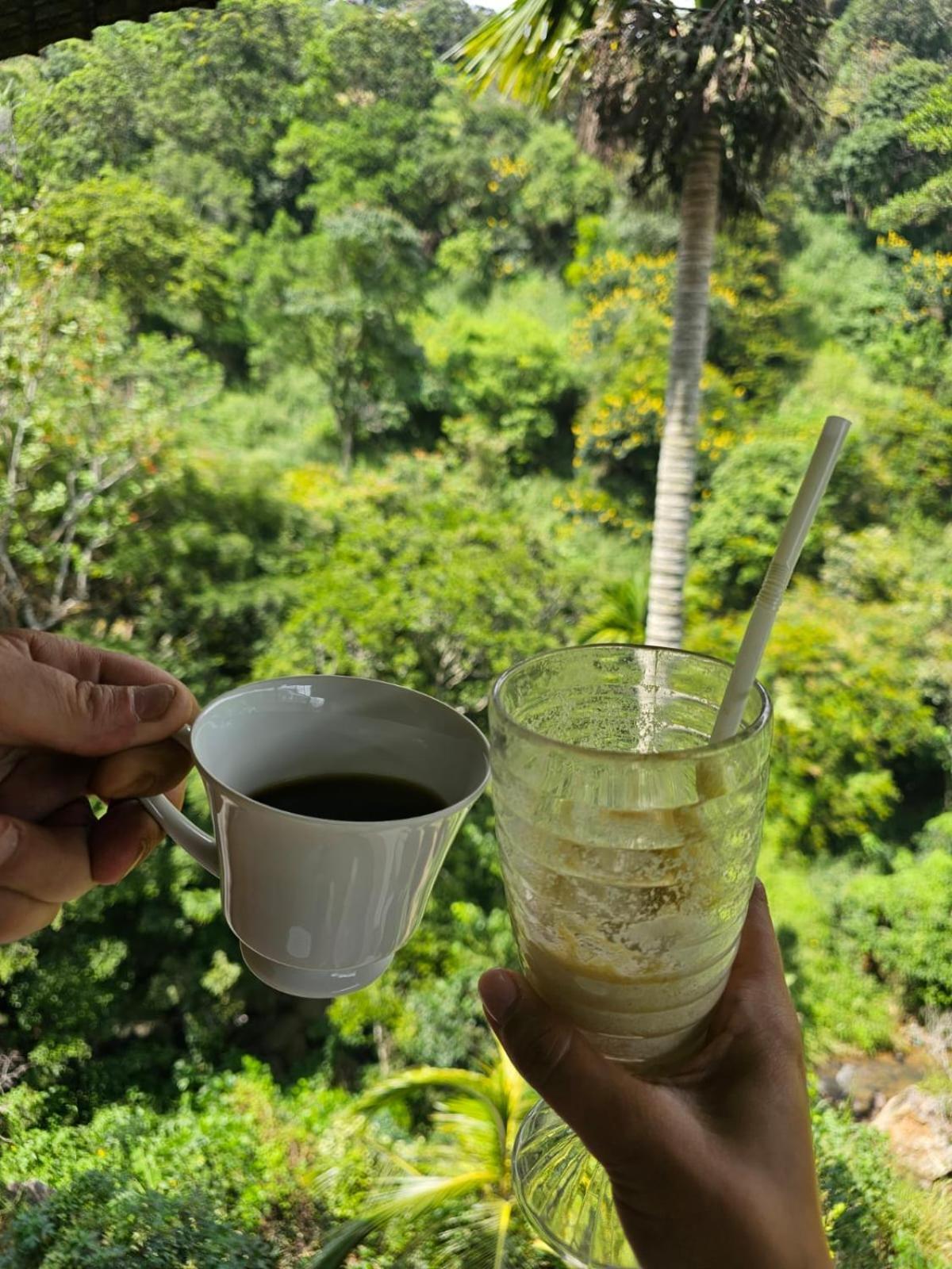 Creek Downhills Bed & Breakfast Ella Luaran gambar