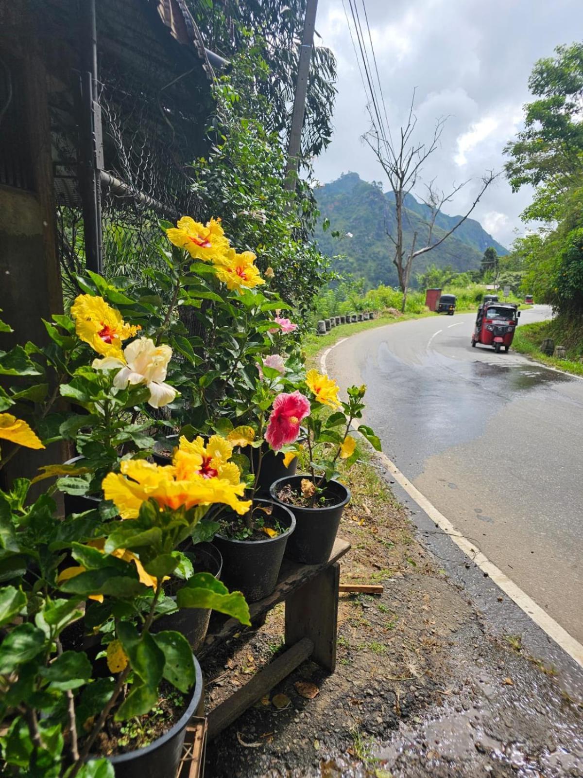 Creek Downhills Bed & Breakfast Ella Luaran gambar
