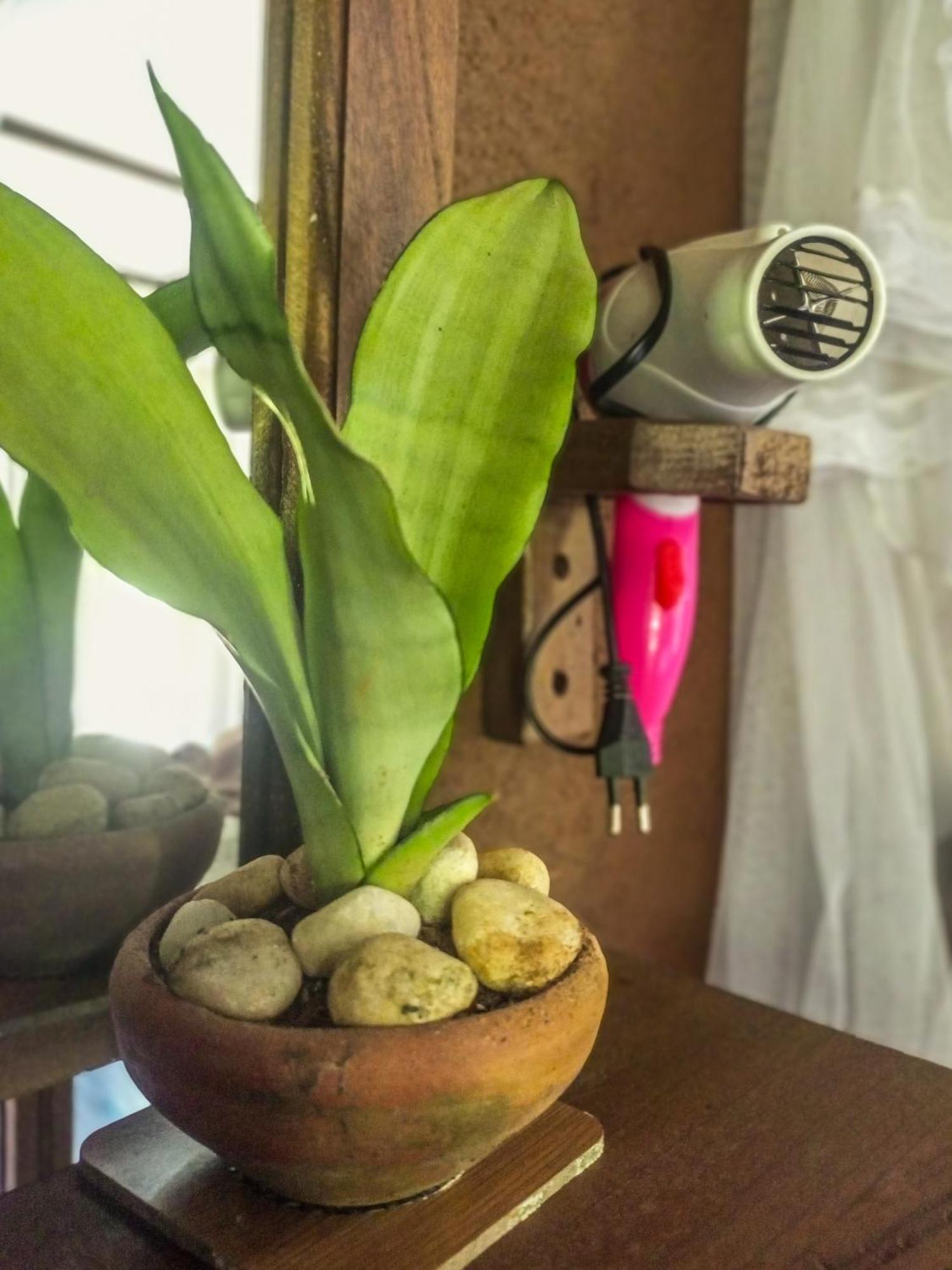 Creek Downhills Bed & Breakfast Ella Luaran gambar