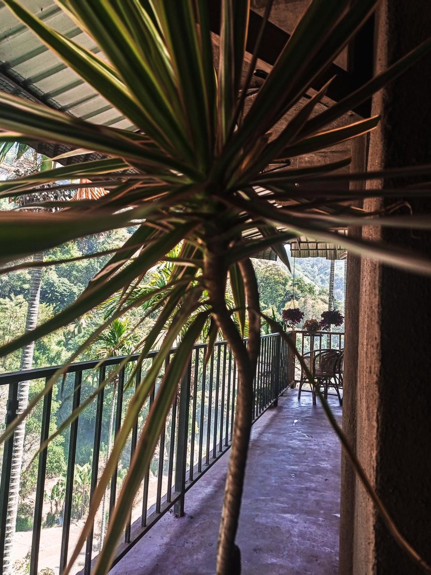 Creek Downhills Bed & Breakfast Ella Luaran gambar