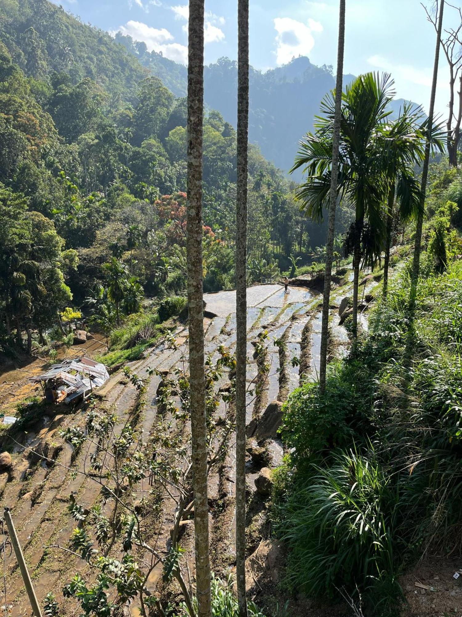 Creek Downhills Bed & Breakfast Ella Luaran gambar