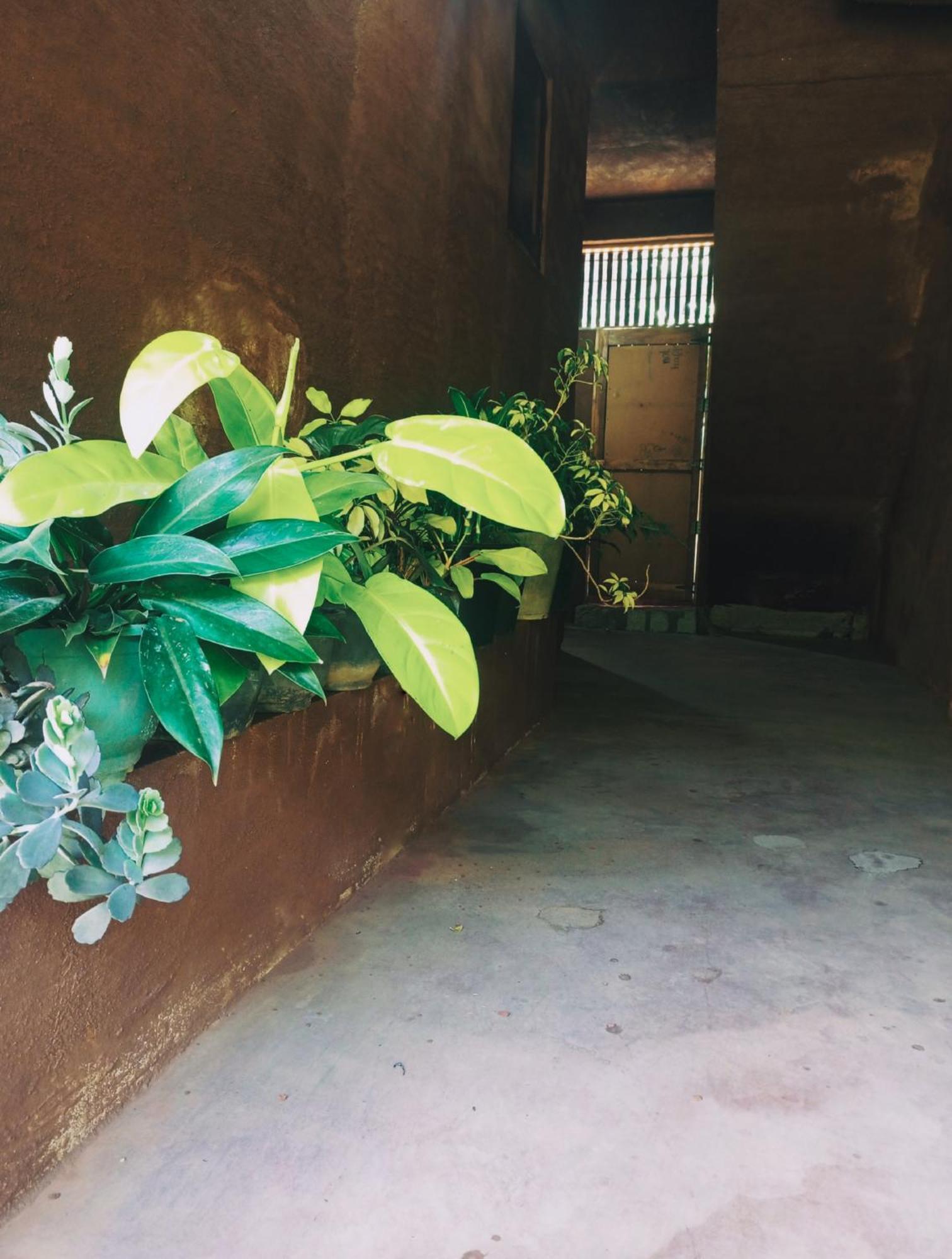 Creek Downhills Bed & Breakfast Ella Luaran gambar
