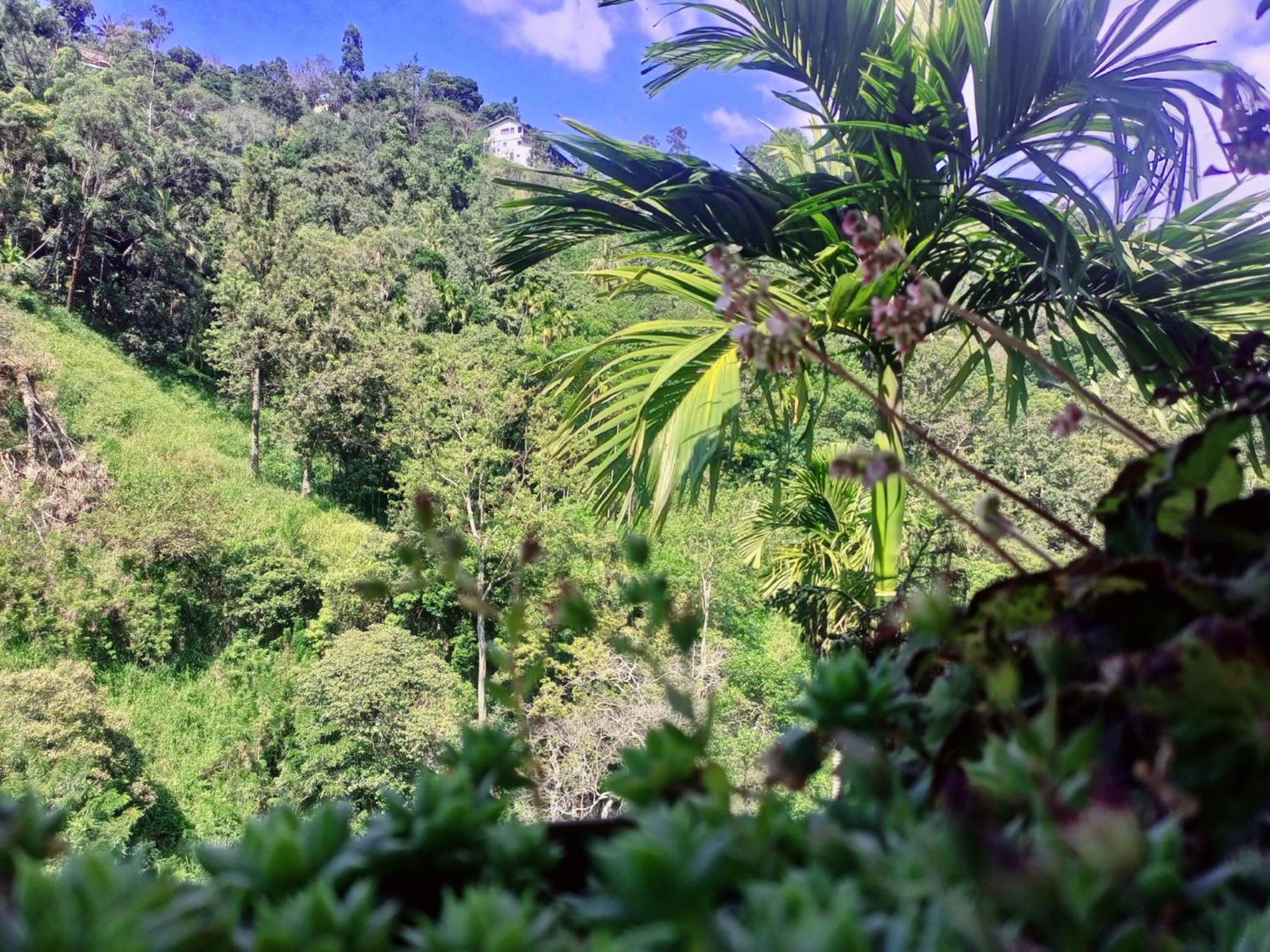 Creek Downhills Bed & Breakfast Ella Luaran gambar